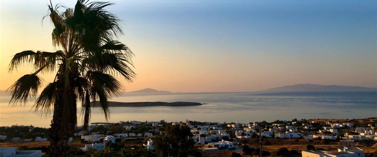 Villa Rossi Paros Luxury Apartments And Suites Drios Bagian luar foto