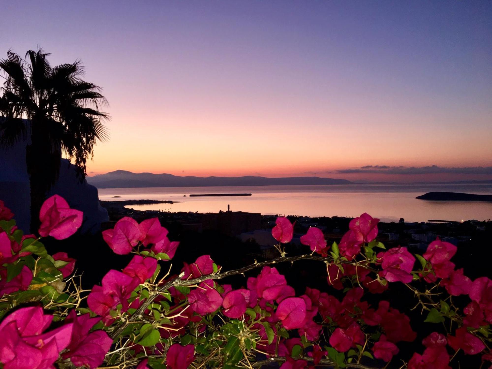 Villa Rossi Paros Luxury Apartments And Suites Drios Bagian luar foto